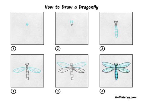 How To Draw A Dragonfly Really Easy Drawing Tutorial