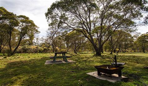 Little Murray Campground Nsw National Parks