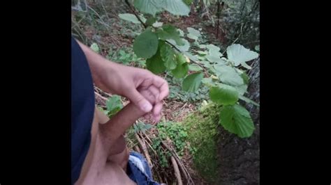 Mastubieren Im Wald Pornhub Gay
