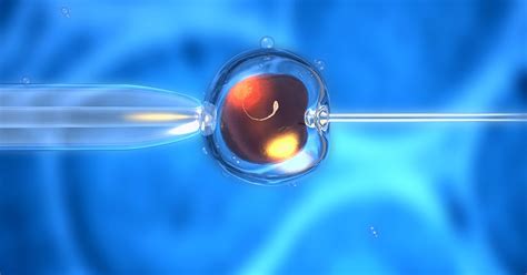 Artificial sperm and wombs offer new means of reproduction