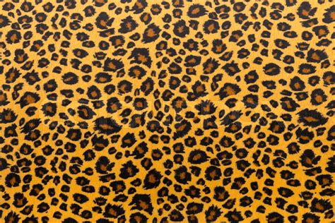 closeup artificial tiger skin pattern | Stock image | Colourbox