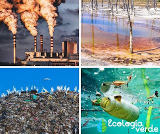 LA CONTAMINACIÓN. 🌍