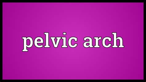 Pelvic Arch Meaning Youtube