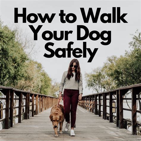 Dog Walking Safety Tips