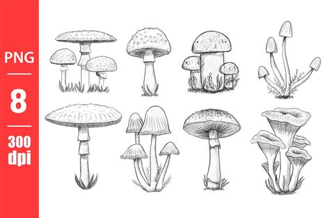 Mushroom Drawing Illustration Illustration Par Emil Timplaru Store