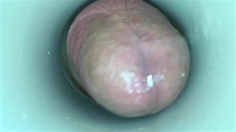 Horny Cock By Cum Cam Man Gay Porn XHamster