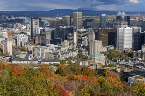Mount Royal Park Visitors Guide