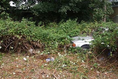 Carroll Shelby Sex Offender Page Automotive City Profile Forum