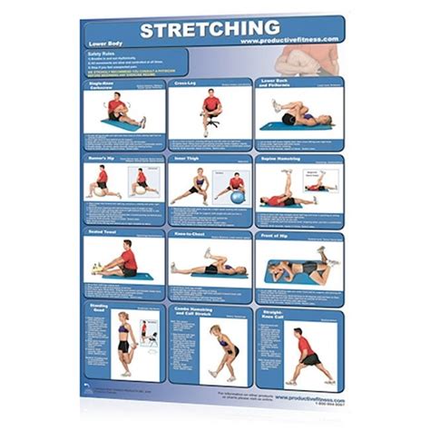 stretching  body power  training  advanced fitness