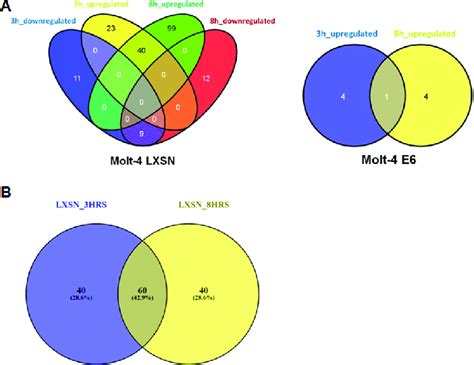 Venn Diagrams For Genetics