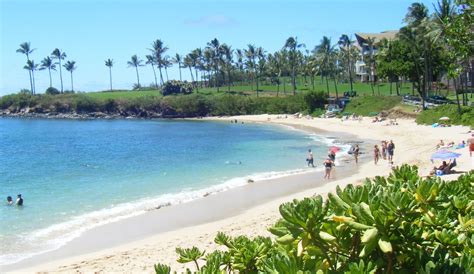 Kapalua Bay beach, West Maui, Hawaii - Ultimate guide (January 2026)