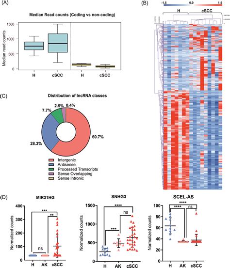 Analysis Of Differentially Expressed Long Non Coding RNAs In CSCC A