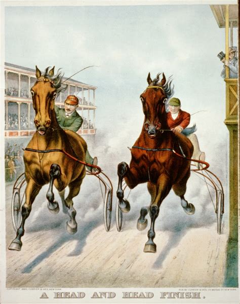 Latest USTA Harness Racing Entries and Race Results 19