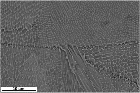 E High Resolution SEM Images Of The Dendritic Structures Around The