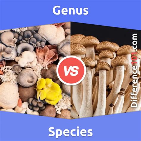 Genus Vs Species 7 Key Differences Pros And Cons Examples