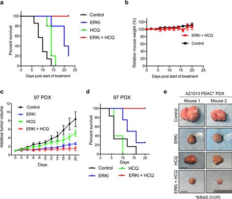 ERK Inhibition Synergizes With The Inhibition Of Autophagy To Reduce