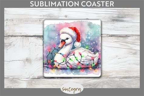 Christmas Swan V Entangled In Lights Square Coaster Sublima