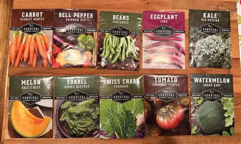 Survival Garden Seeds To The Rescue Marys Nest