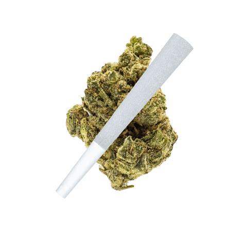 Buy Alaskan Thunder Fuck Pre Roll THCA MARYJAE