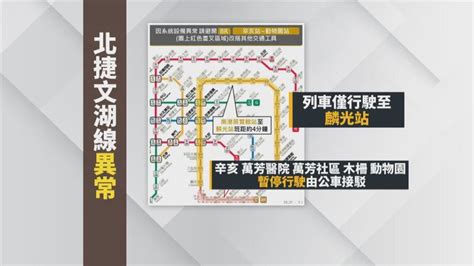 北捷文湖線異常一度停駛 竟是「社區鋸樹」惹禍