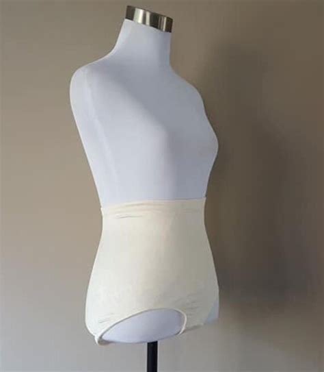 High Waisted Panty Girdle Nude Maidenform Self Expres Gem