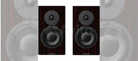 Dynaudio Special Forty Black vine high gloss купить в Москве