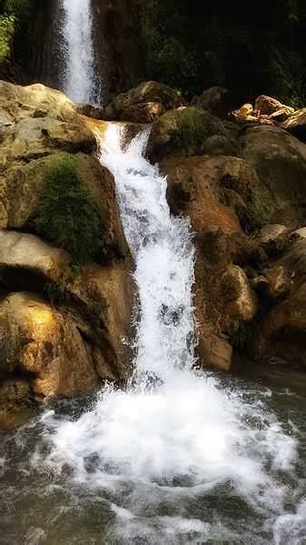 5 Waterfalls in Rishikesh | Rishikesh Waterfalls 2024