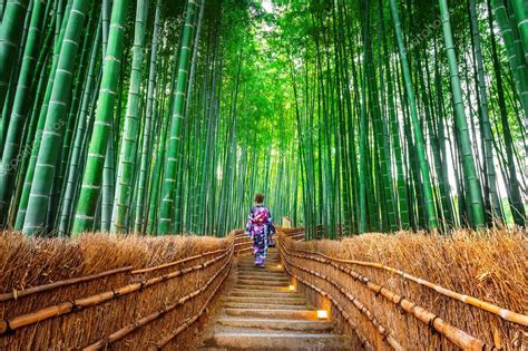 Bosque De Bamb Mujer Asi Tica Usando Kimono Tradicional Japon S En El