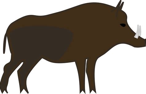 Boar Png Isolated Transparent Hd Photo Png Mart