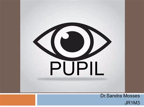 pupil pptx