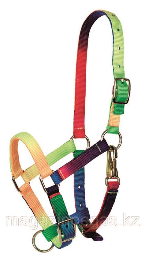 Недоуздок цветной: продажа, цена в Алматы. Товары для конного спорта от ...