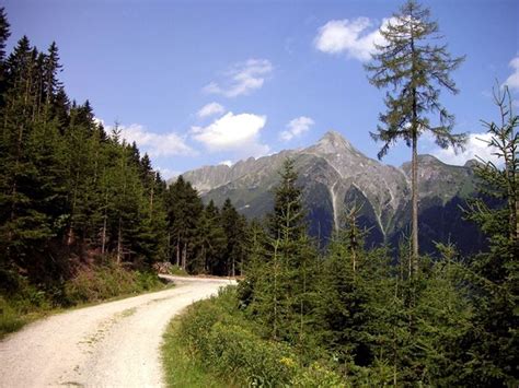 Politik M L Sex V Lese Vyfotili Ho Dostane Od Kodn Sv T Lidovky Cz