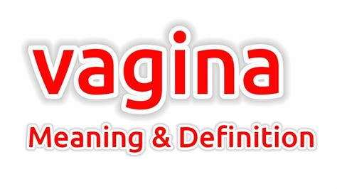 Vagina Meaning Vagina Meaning In English Meaning Of Vagina What Is The Meaning Of Vagina