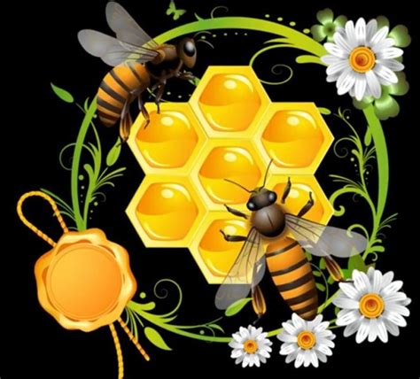 Пчелки на сотах картинки