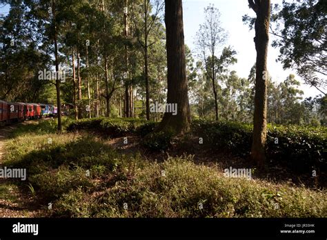 railway train hill country central province sri lanka Stock Photo - Alamy