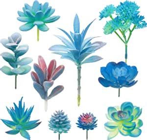 Amazon Woohome 10 PCS Artificial Succulent Plants Blue Fake