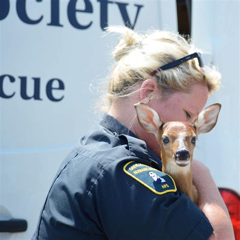 Humane... - Humane Society of Oakville, Milton & Halton