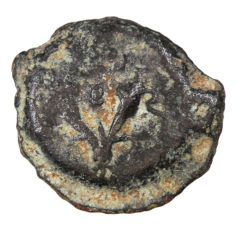 Mattathias Antigonus Ae Prutah About Very Fine 40 37 Bce