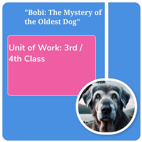 Unit Of Work 3rd 4th Class Bobi The Mystery Of The Oldest Dog