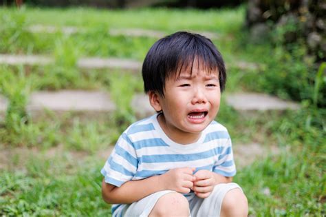 イヤイヤ期はいつからいつまで？月齢ごとの特徴と「やって良かった」対策の紹介 テテトコ 子どもの発達特性でつながるsns