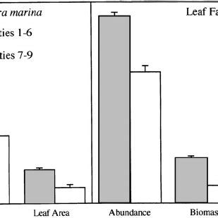 2 Generalized Drawing Of Environmental Differences In Zostera Marina