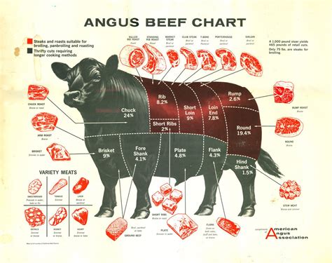 Cow Meat Chart Poster