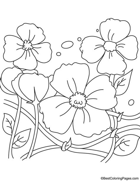 Remembrance Day poppies coloring page | Download Free Remembrance Day ...