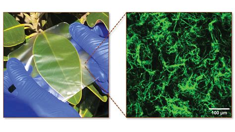 researchers create biopolymer film specialty fabrics review