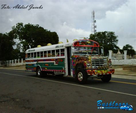 Buses Del Sector Este De La Provincia De Panamá