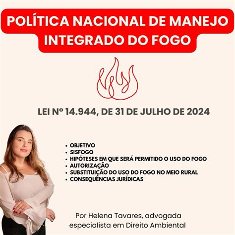 Política Nacional De Manejo Integrado Do Fogo - ️ POLÍTICA NACIONAL DE MANEJO INTEGRADO DO FOGO🔥 | Helena Tavares Penha