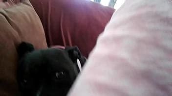 20160614 110143 XVIDEOS