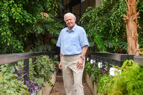 Madame Tussauds Unveils New Waxwork Of Sir David Attenborough The