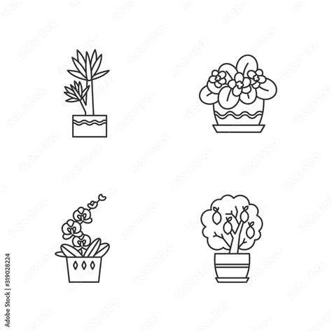 Decorative Indoor Plants Pixel Perfect Linear Icons Set Houseplants