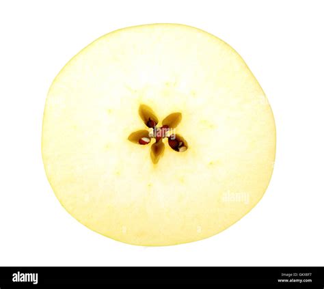 Circle Slice Of A Fresh Yellow Apple Stock Photo Alamy